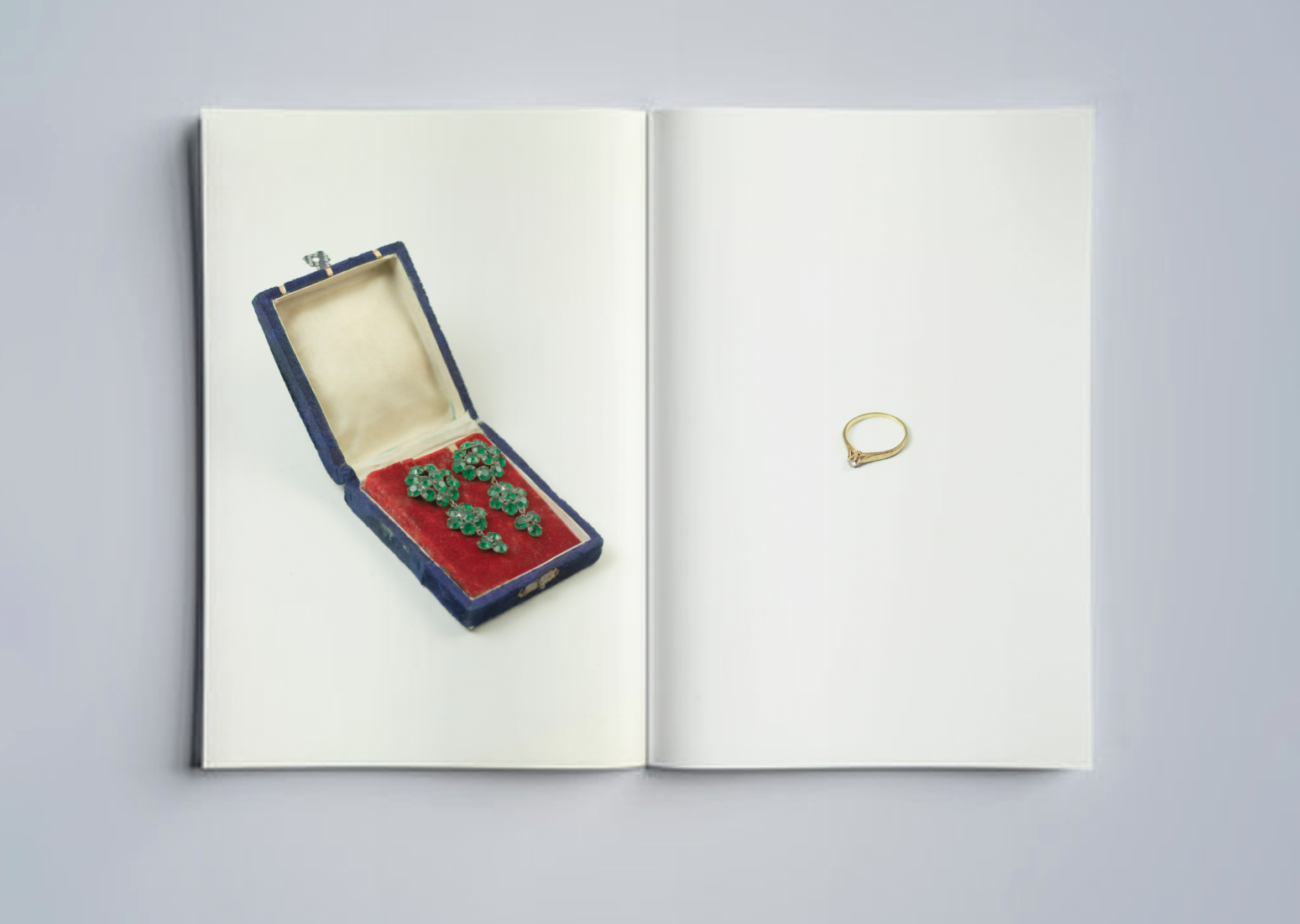 Catalogue Of Memories — Anusha Alamgir
